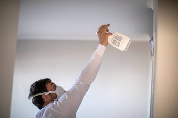 Best Localized Mold Remediation (e.g., coastal areas, humid climates) in Altus, OK