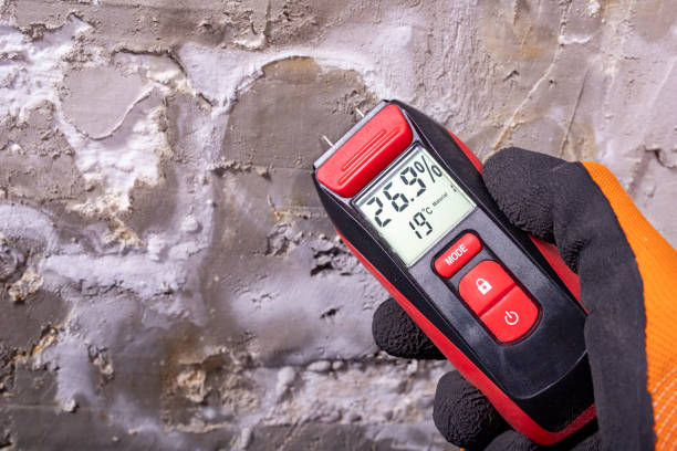 Best Bathroom Mold Remediation in Altus, OK