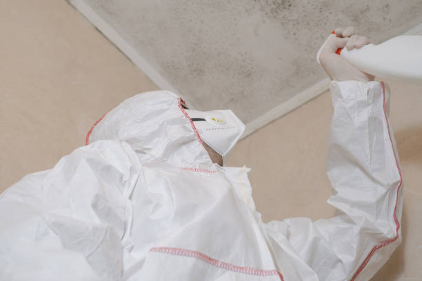 Best Residential Mold Remediation in Altus, OK